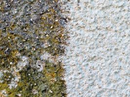 Putzfassaden Vorher Nachher Bild einer Putzfassade die zur hälfte gereinigt ist